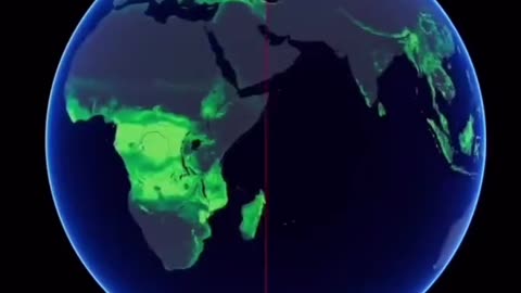 Pre-industrial Forests Vs Current Forests