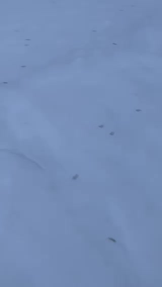 Like walking in deep fine sand