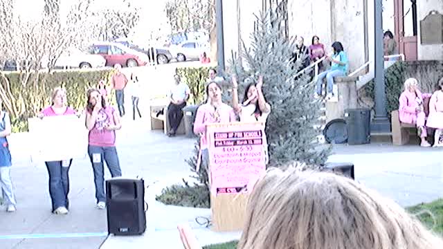 The Pink Slip Student Walk-Out of 2009