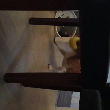 Throw but don't touch