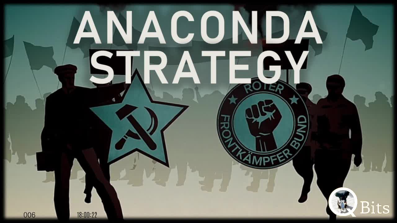 #006 // ANACONDA STRATEGY - LIVE