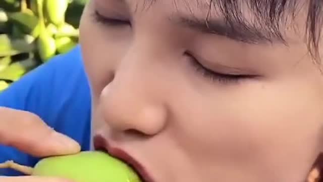 Ngerujak mangga langsung dari pohonnya