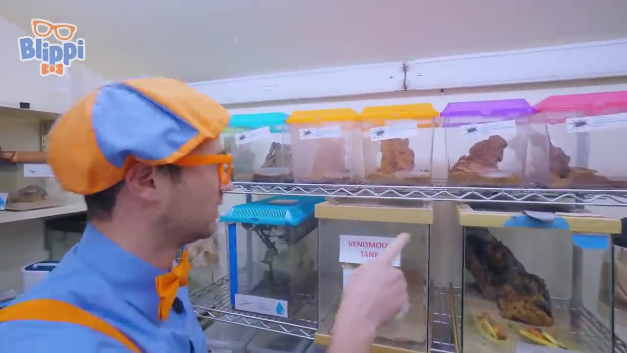 08-10-2023 Blippi en el Zoo - Alimenta a los Animales | Blippi Español