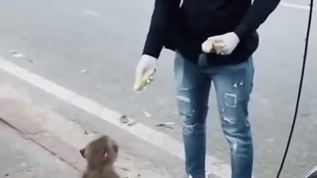 New funny video 😀😀😀😀😀😀