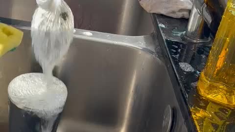 Relaxing ASMR Dishwashing Sounds