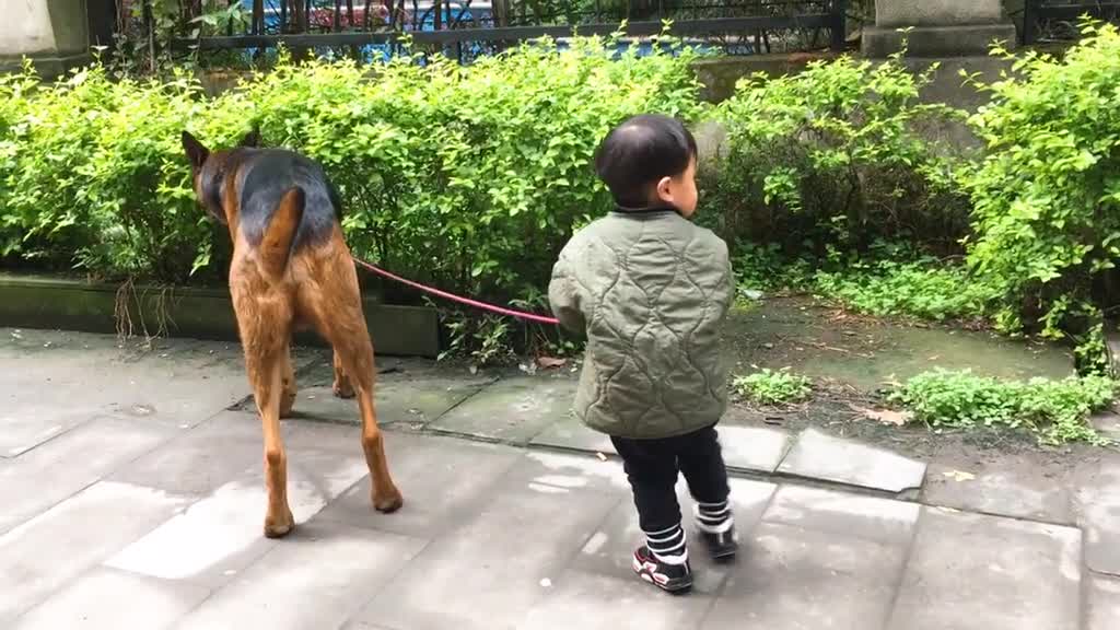 The little owner leads his dog before it is willing to go