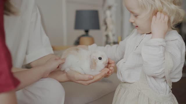 Cutest