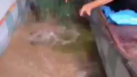 Funny fishing in home