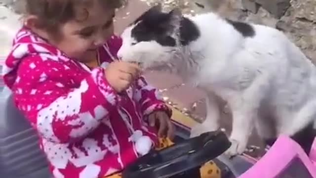 Baby and cat funny video