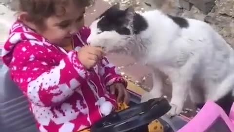 Baby and cat funny video