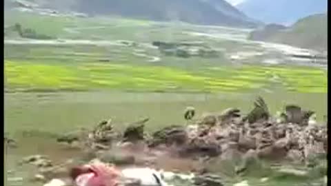 Communist China: Brutalities in Tibet - Deaths