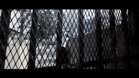 BERNER x STALIN - NO MIDDLE MAN