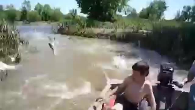 Carp Attack