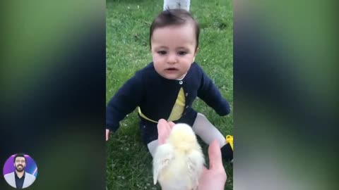 Cute baby funny moment with chicken