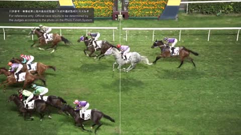 Horce_Race_2022051803_English