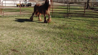 Quiggly at 22 Months Because He Is So Darn Handsome