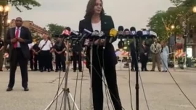 Kamala Launches into Bizarre, Incoherent Anti-Gun Rant in Highland Park