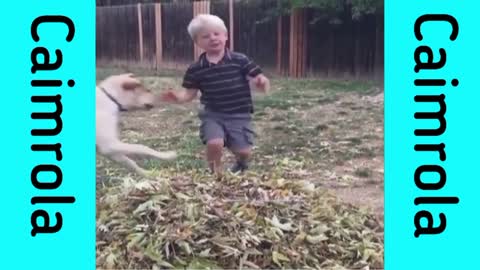 Funny dogs reaction 🤣 😆 😂 ||moments capture of dogs and cats