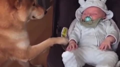 BEST BABY SITTER EVER.mp4
