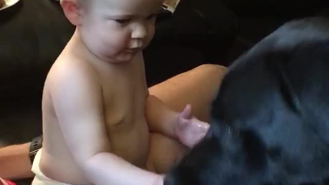Baby sharing his treats with his puppers