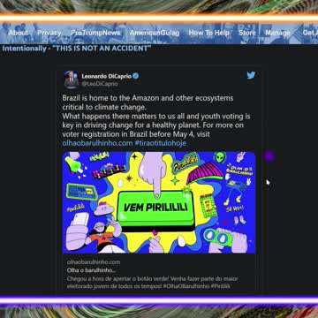 Brazil's President Bolsonaro Trashes Leonardo DiCaprio