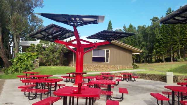 SOLAR TREES