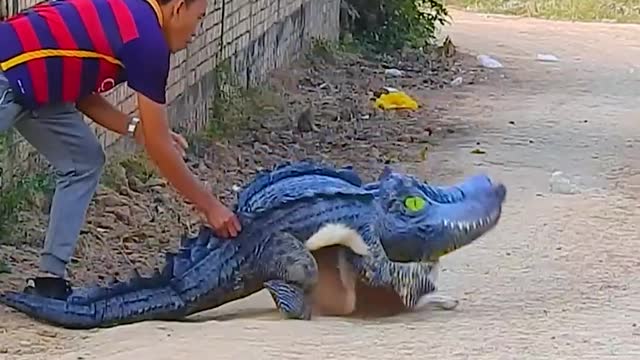 Fake Crocodile Prank With Dog