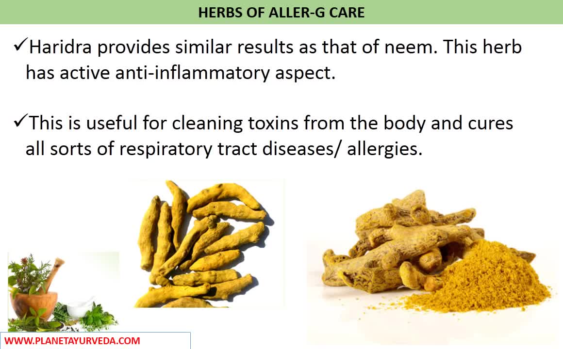 Home Remedies for Allergy - Ayurvedic Treatment