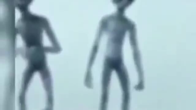 2022 Real Alien Sighting!! Unexpected UFO Alien Sighting Caught on Camera - Real Alien videos