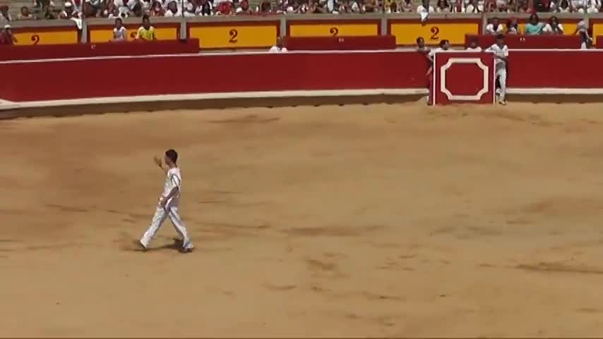 BULL FIGHTING AMEZING GAME VIDEO..