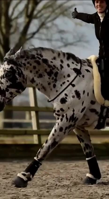 Brothers from different mothers