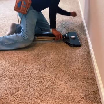 funny|prank|jokes|funny jokes|dad jokes|funny memes|funny video|fun|laughing|funny animal|knock