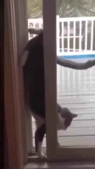 Is it possible to do something amazing?