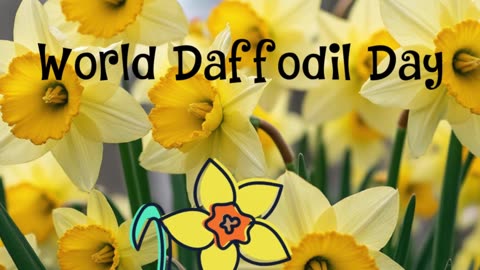 World Daffodil Day