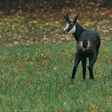 what a view ll Epic Fail ll