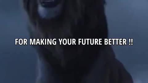 Painful Past makes Future