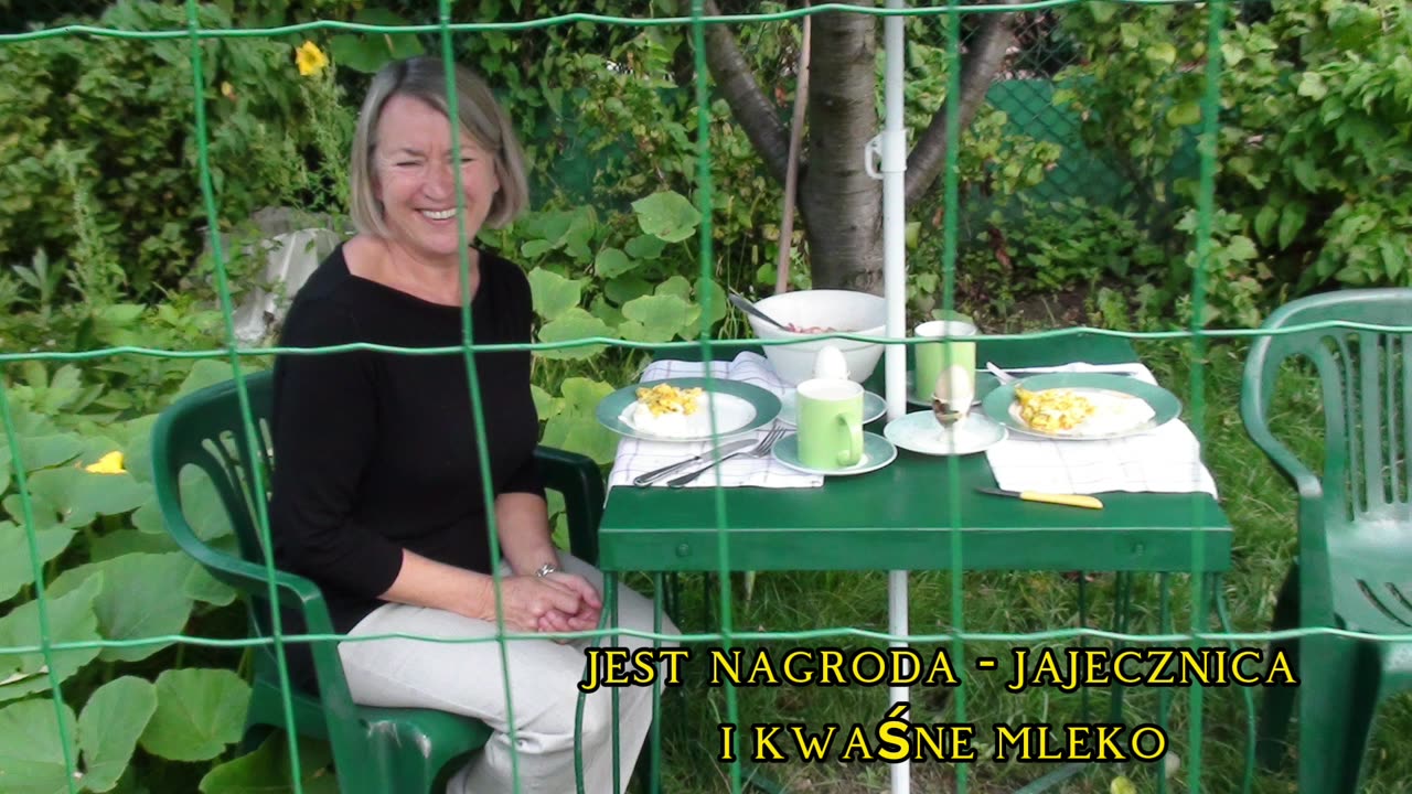 Kurnik Ludwini 2012