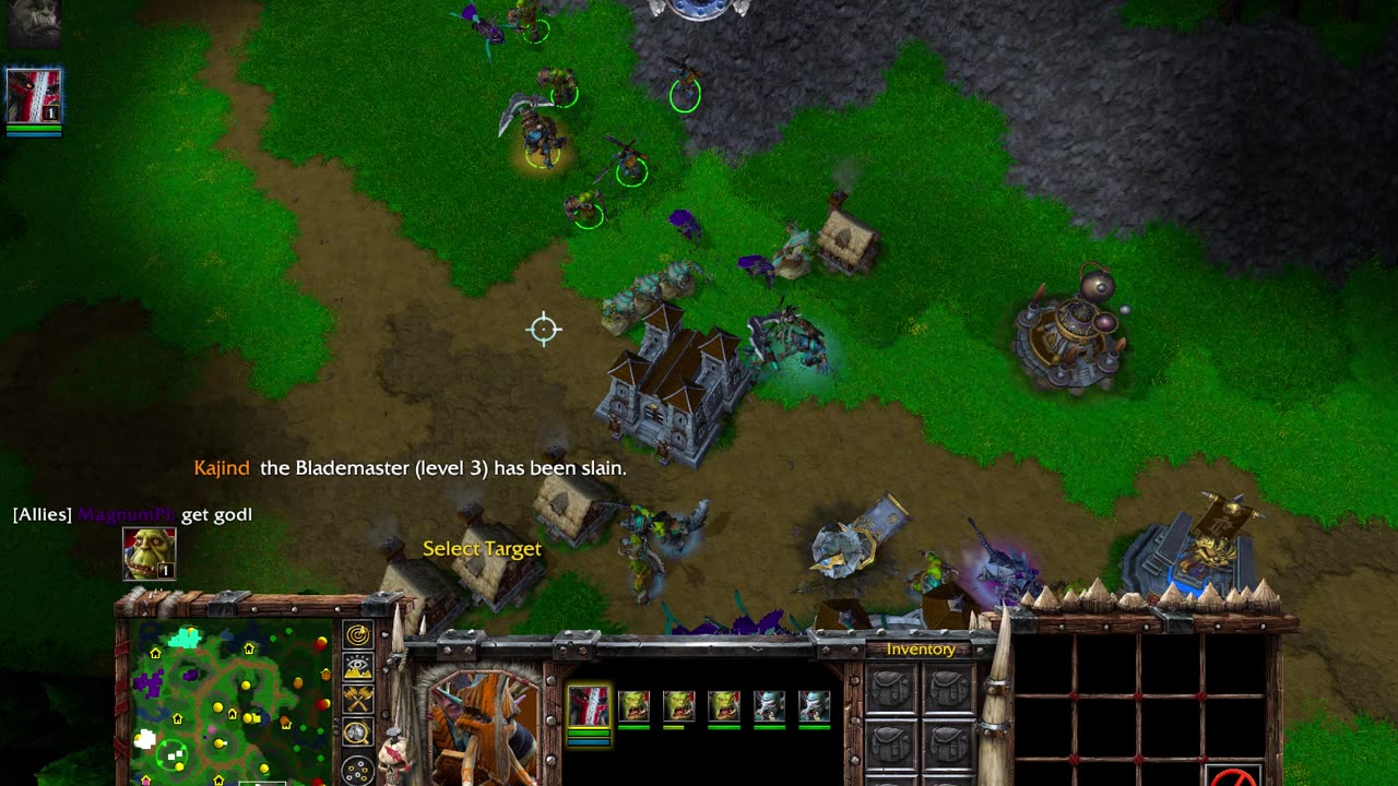 Warcraft 3 Win #20