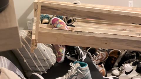 Dog Pulls Down Shelf Full of Shoes