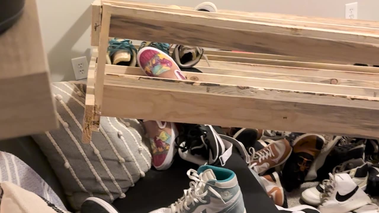 Dog Pulls Down Shelf Full of Shoes