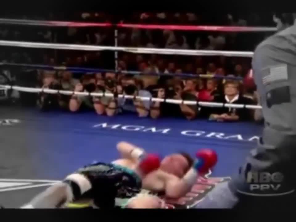 Pacquiao and Lennox Lewis Perfect Knockout