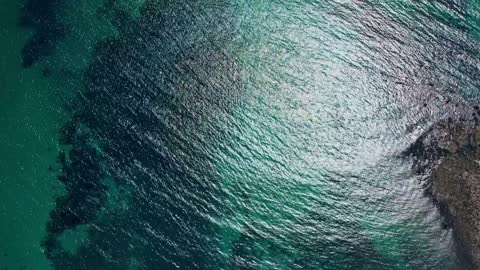 Blue Ocean See