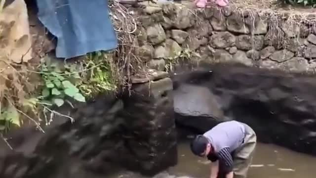 Catch fish in stream