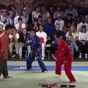 Pro Taekwondo