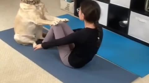 Have you ever tried dog| dog yoga|