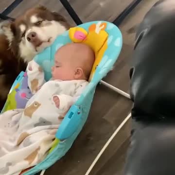 Built in babysitter…😴😜👶🏼🐶