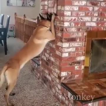 ΑΥΤΟ ΤΟ ΚΡΥΦΤΟ ΔΕΝ ΤΟΧΕΤΕ ΞΑΝΑΔΕΙ.