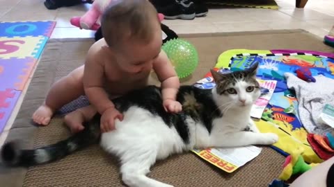 Cats with babies