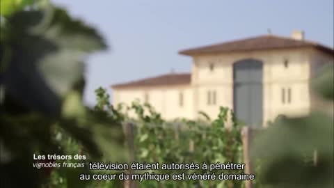 Les trésors des vignobles français1
