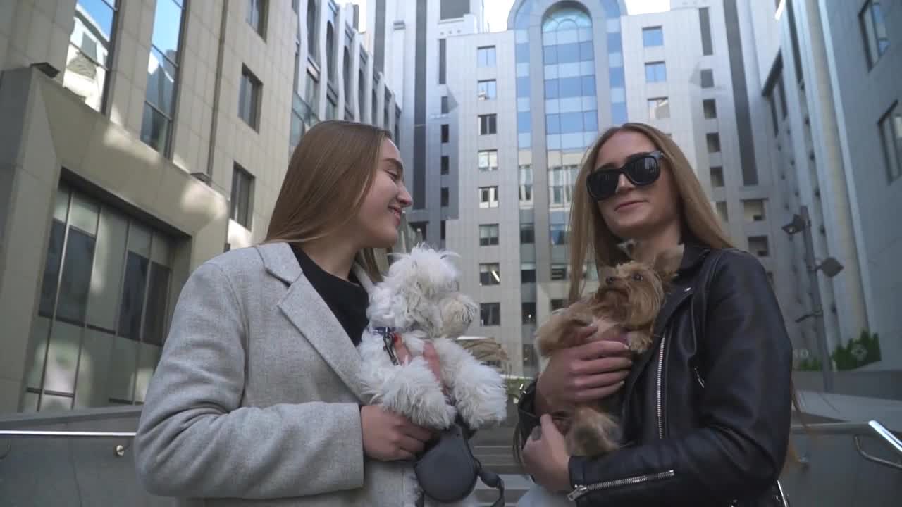 Two young girlfriends are chatting and holding small dogs on hands